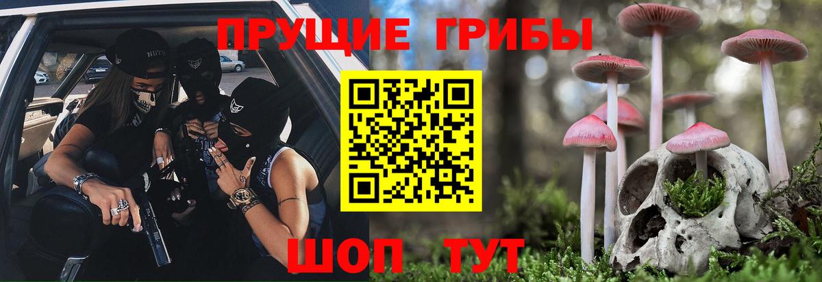 Всеволожск  Псилоцибиновые грибы ЛСД  Вход с VPN 